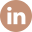 Linkdin icon